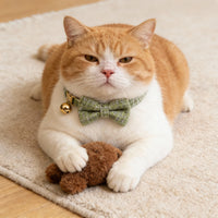 Personalized Engraved Cat ID