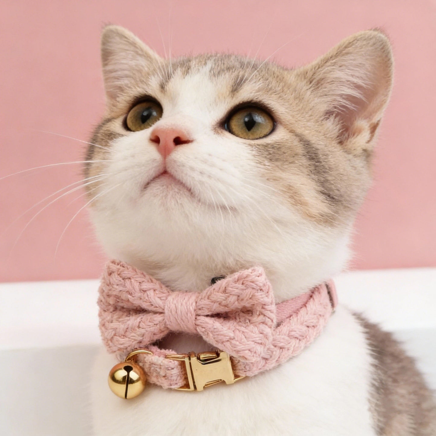 Personalized Engraved Cat ID