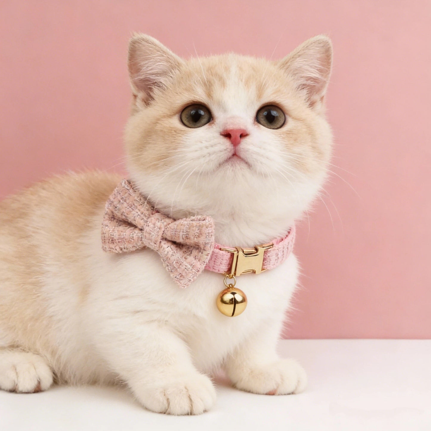 Personalized Engraved Cat ID