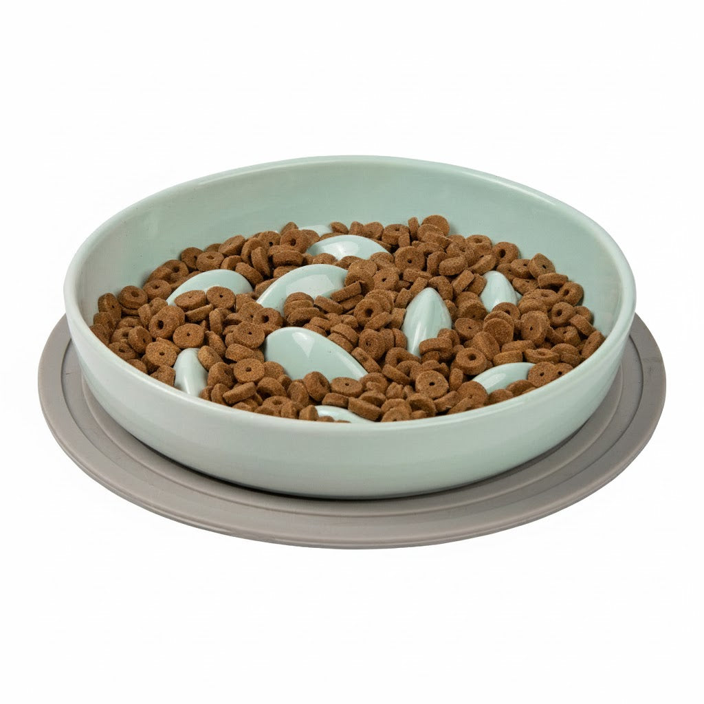 Ceramic Slow Food Plate