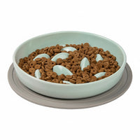 Ceramic Slow Food Plate